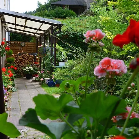 Apartment Ferienwohnung Hauser Bad Schandau